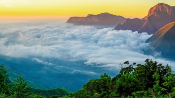 Best Things to Do in Munnar.