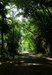 ASSAM