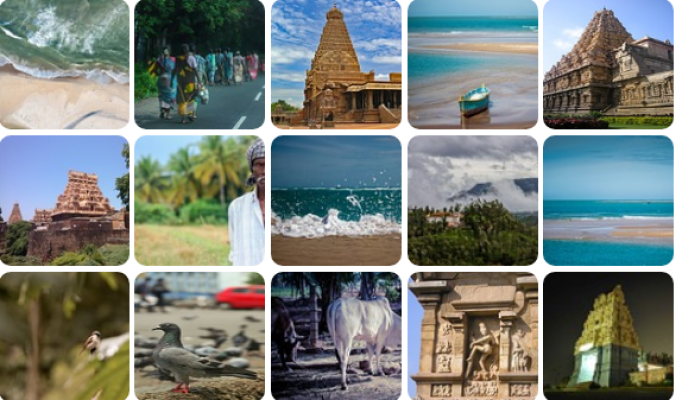 TAMIL NADU 